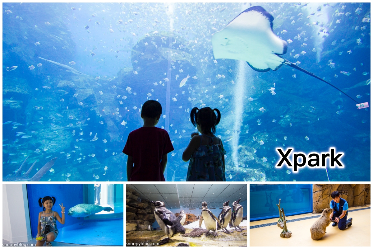 Xpark水族館,Xpark水族館怎麼去,Xpark水族館線上購票,桃園一日遊,桃園和逸飯店,桃園景點,桃園水族館,桃園親子一日遊景點,桃園親子景點,桃園青埔景點