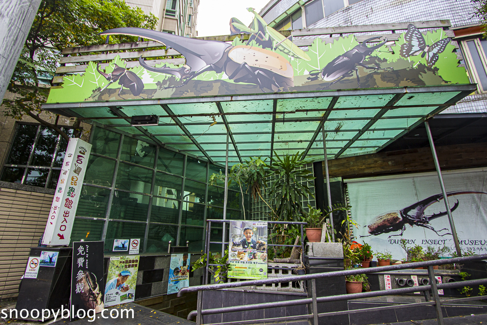 動物互動體驗,台北免費景點,台北室內景點,台北昆蟲館,台北親子景點,台灣昆蟲館,親子一日遊景點