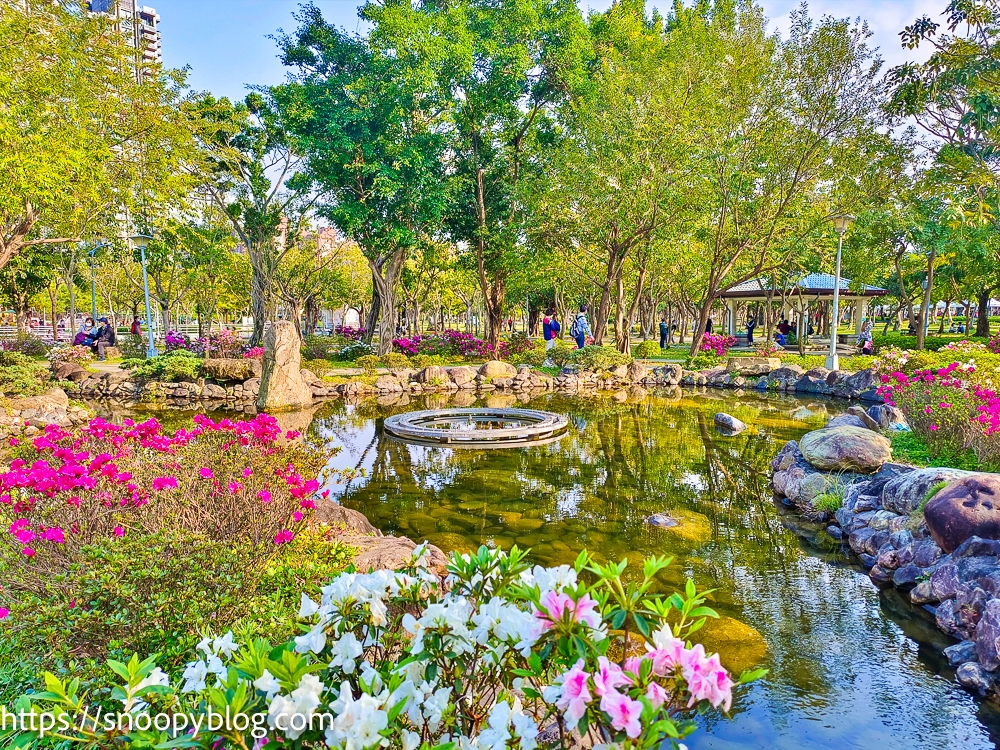 台北景點 大安森林公園繡球花季 搭捷運在市區就能賞繡球花 00盆繡球花免費欣賞 還有超好玩的共融遊戲場能遛小孩