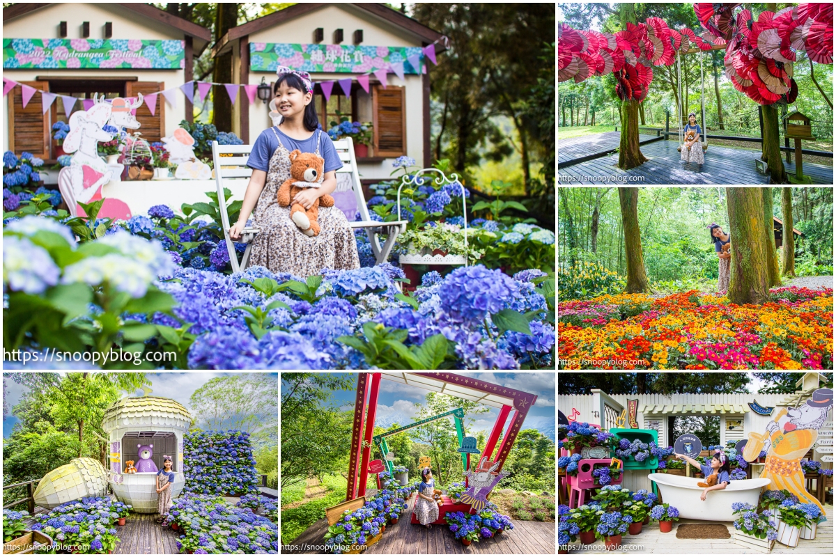 新竹景點 薰衣草森林新竹尖石店 繡球花賞復古動物派對 超過千株繡球花打造繡球花海 熊熊小屋花園 繡球花浴缸 附交通方式和咖啡館菜單 史努比遊樂園