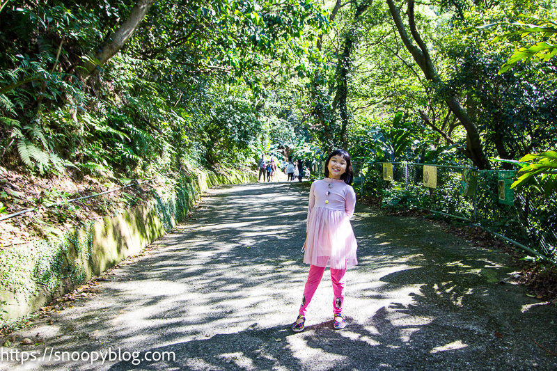 桃樂絲森林，台北景點，台北親子景點，八里景點，八里農場，新北市景點，八里一日遊景點，台北景觀餐廳