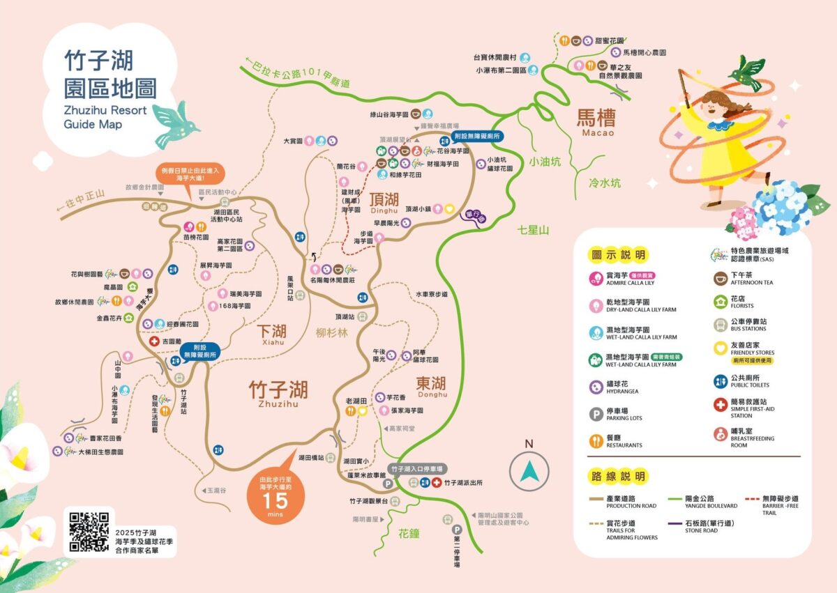 台北景點,海芋,陽明山景點