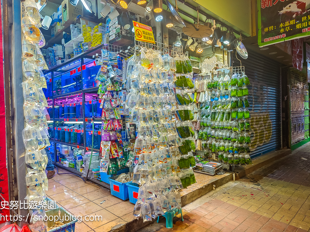 香港景點|旺角通菜街(金魚街)~七彩金魚泡泡掛滿街,香港特殊的水族文化令人驚奇 @史努比遊樂園