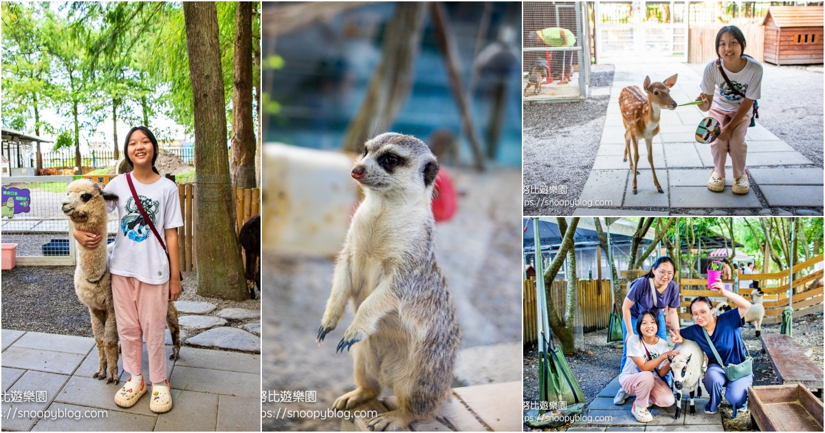 網站近期文章：【宜蘭冬山景點】水岸森林物語動物園區～羊駝、狐獴、笑笑羊、熊貓羊、梅花鹿…萌系動物餵好餵滿，宜蘭親子景點