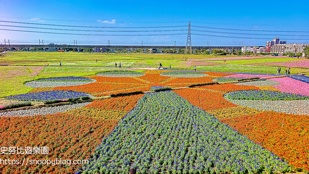 仙草花節,桃園景點,桃園賞花,楊梅景點