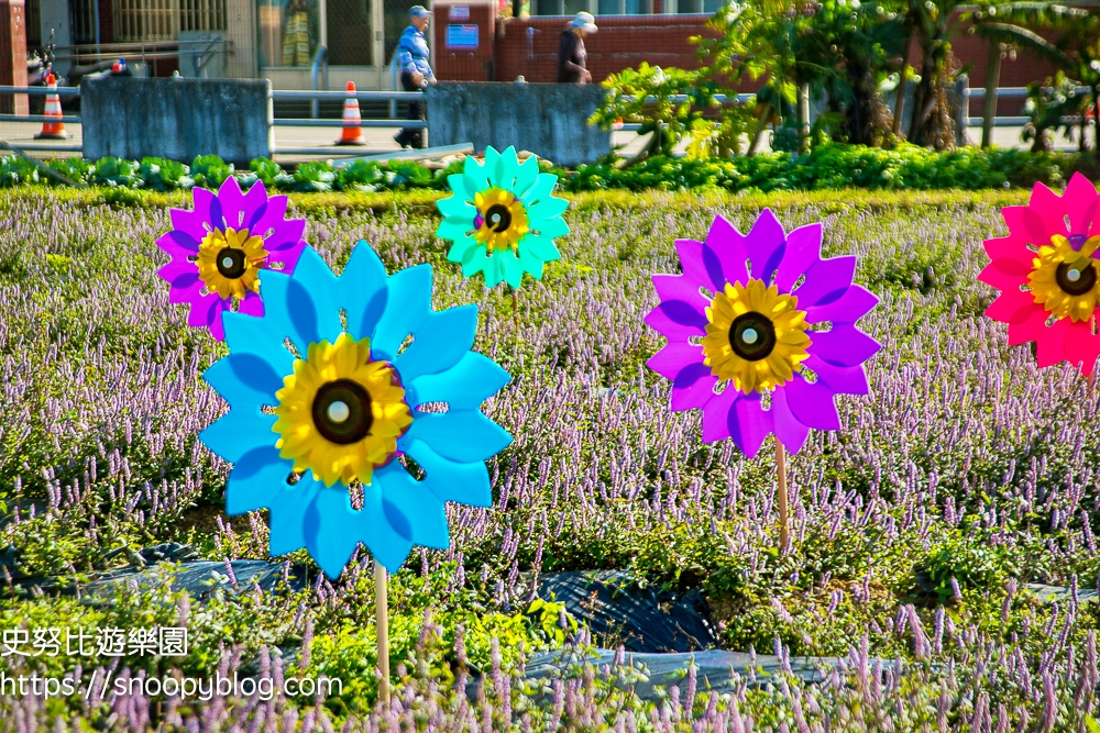 仙草花節,桃園景點,桃園賞花,楊梅景點