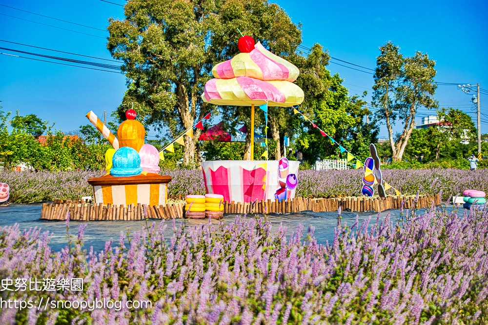 仙草花節,桃園景點,桃園賞花,楊梅景點