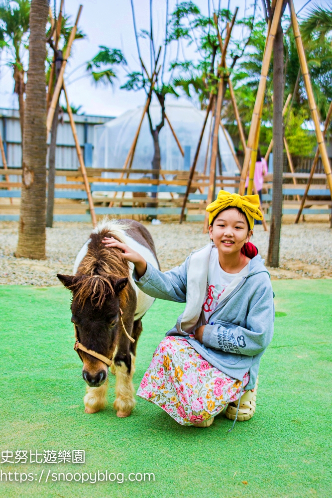 新竹動物農場,新竹景點,新竹親子景點,香山景點