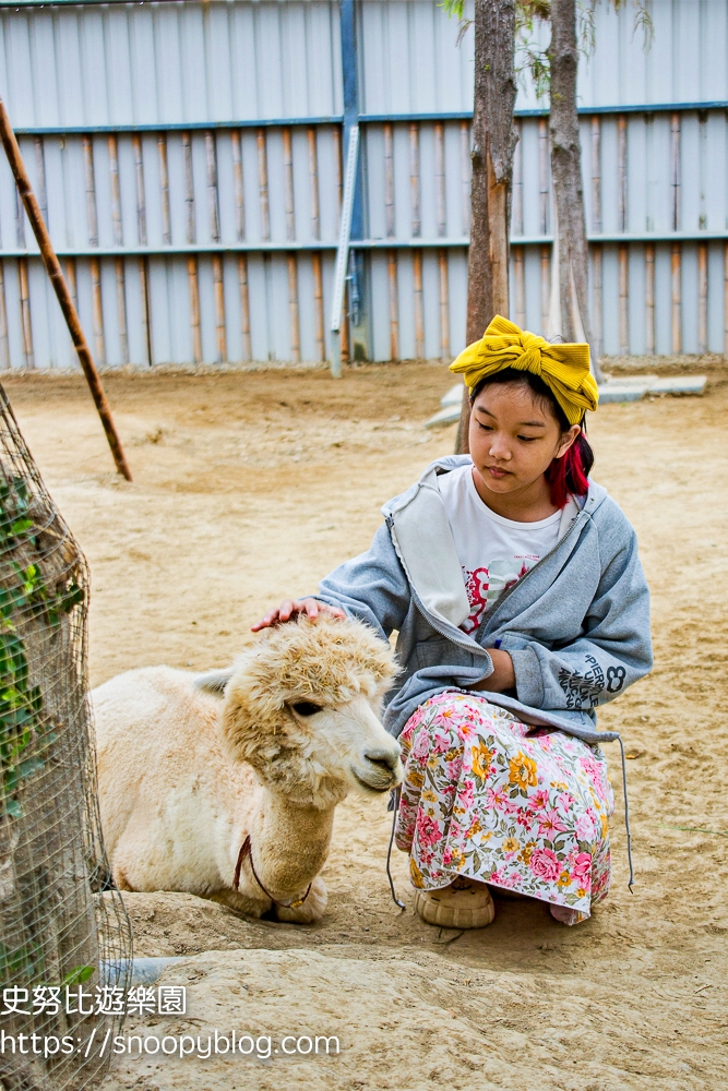 新竹動物農場,新竹景點,新竹親子景點,香山景點