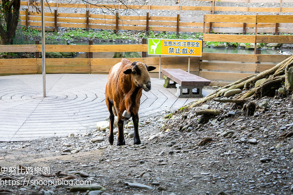 冬山景點,冬山親子景點,宜蘭景點,宜蘭親子景點,宜蘭農場