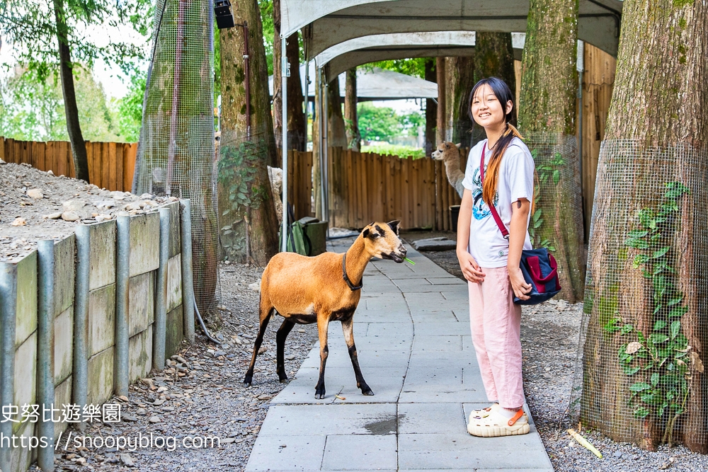 冬山景點,冬山親子景點,宜蘭景點,宜蘭親子景點,宜蘭農場