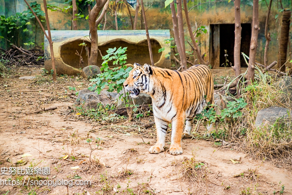 【新竹景點】新竹市立動物園～全台最老的動物園，門票資訊、停車資訊，新竹親子景點推薦 @史努比遊樂園