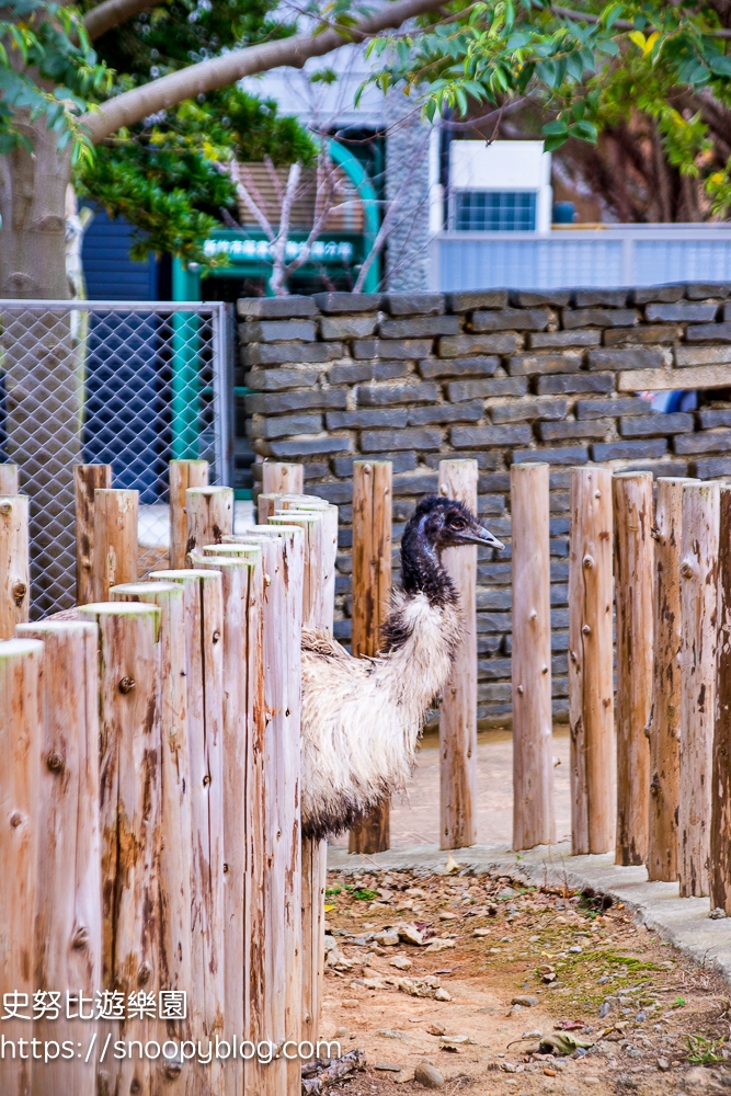 【新竹景點】新竹市立動物園～全台最老的動物園，門票資訊、停車資訊，新竹親子景點推薦 @史努比遊樂園
