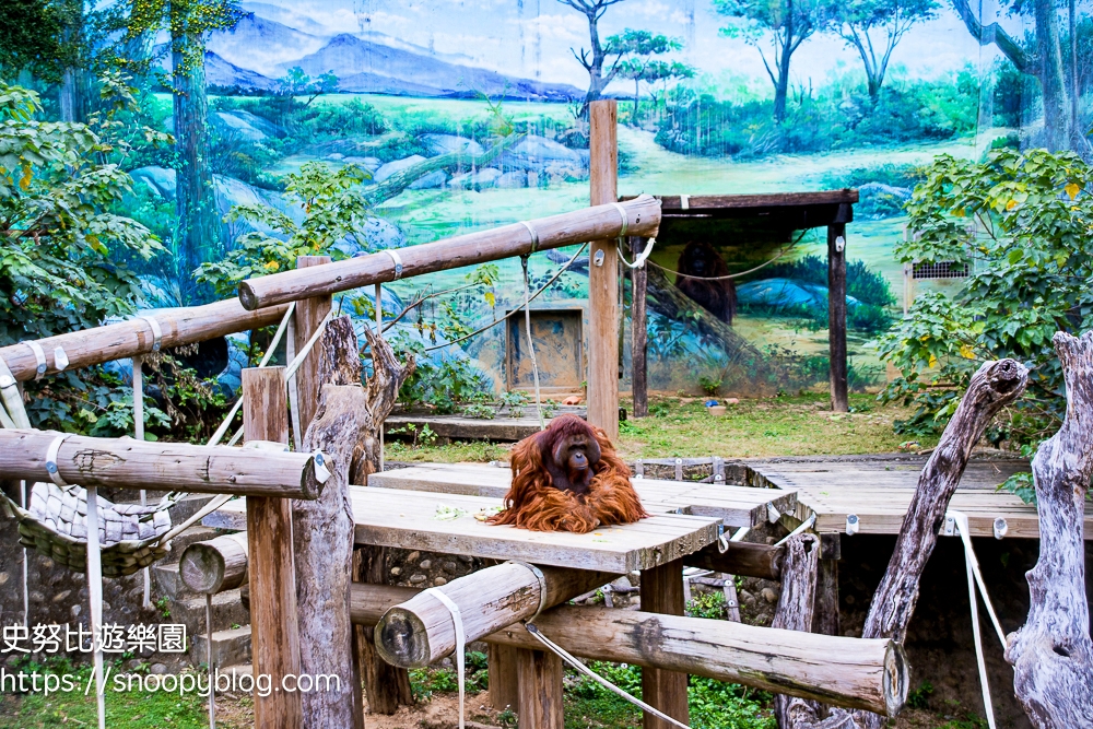 【新竹景點】新竹市立動物園～全台最老的動物園，門票資訊、停車資訊，新竹親子景點推薦 @史努比遊樂園