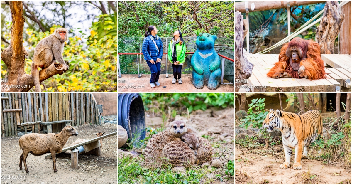 網站近期文章：【新竹景點】新竹市立動物園～全台最老的動物園，門票資訊、停車資訊，新竹親子景點推薦