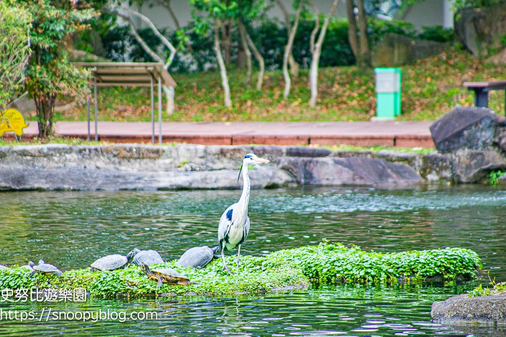 台北中正區景點,台北景點,賞櫻景點