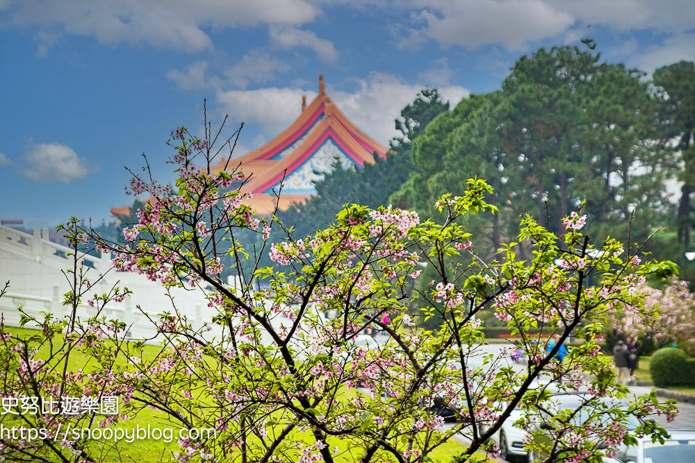 台北中正區景點,台北景點,賞櫻景點