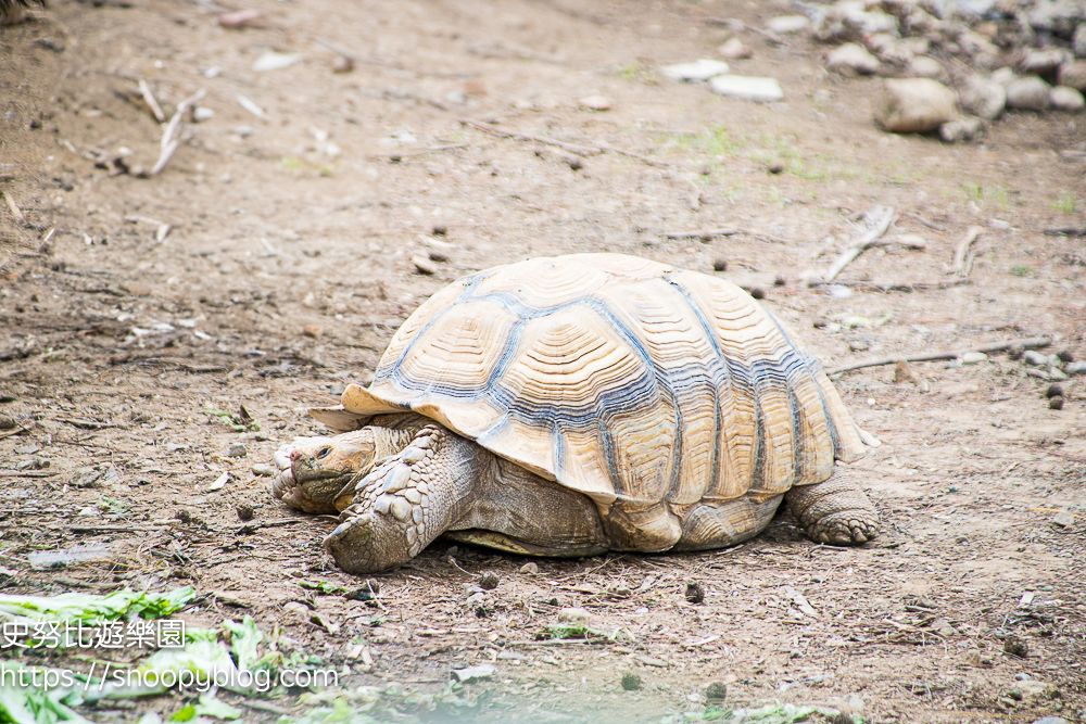 動物園,新竹免費景點,新竹景點