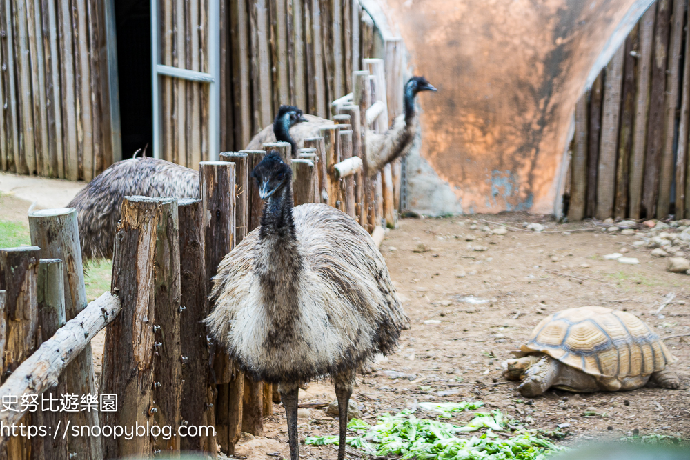 動物園,新竹免費景點,新竹景點