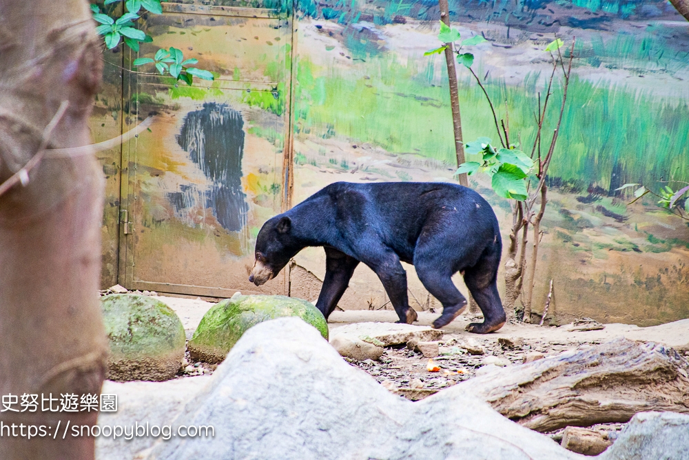 動物園,新竹免費景點,新竹景點