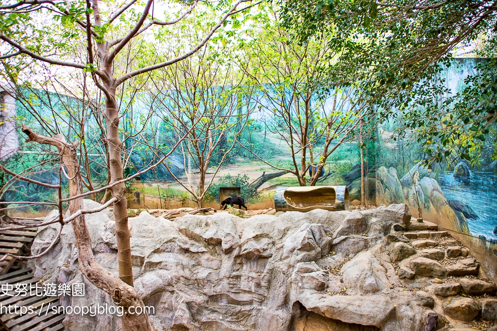 動物園,新竹免費景點,新竹景點