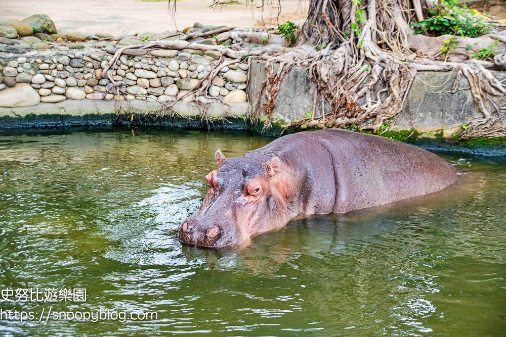 動物園,新竹免費景點,新竹景點