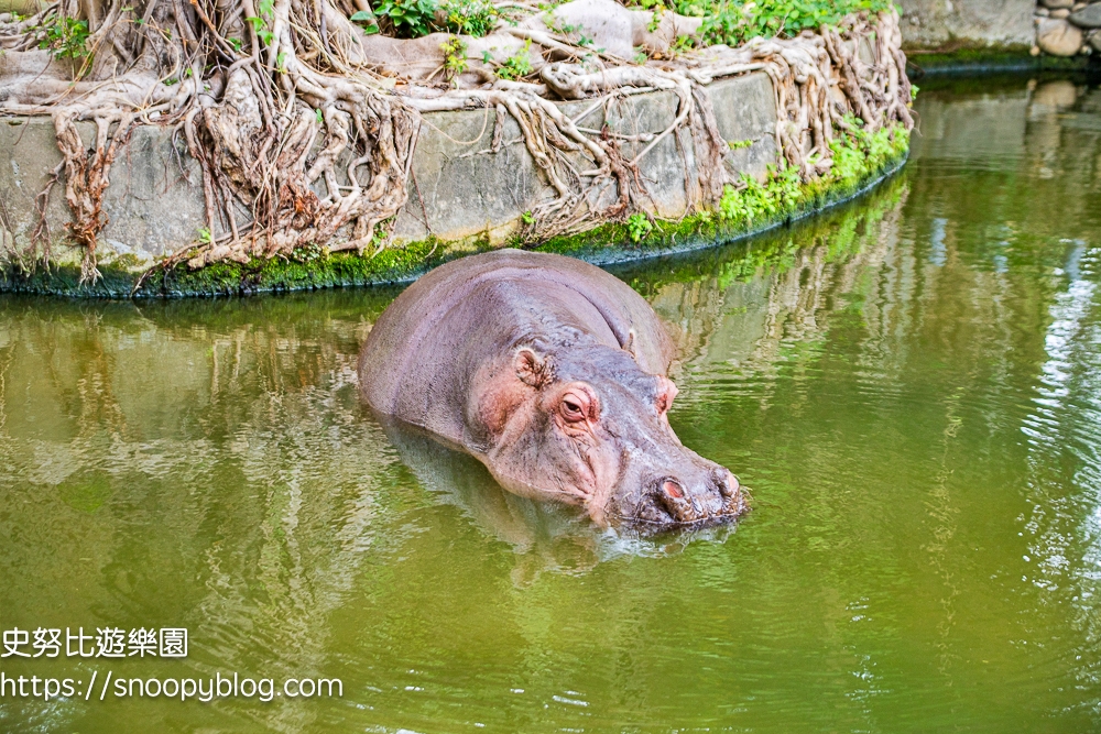 動物園,新竹免費景點,新竹景點