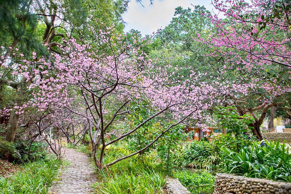 動物園,新竹免費景點,新竹景點