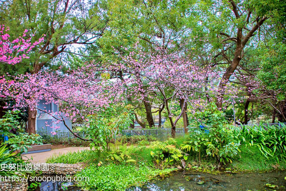 動物園,新竹免費景點,新竹景點