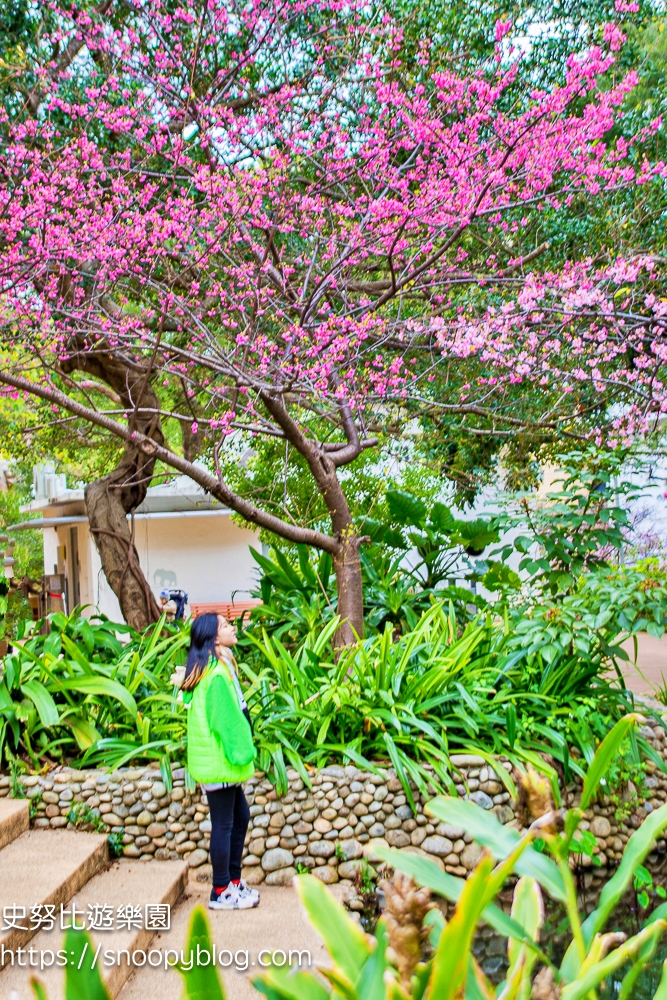 動物園,新竹免費景點,新竹景點