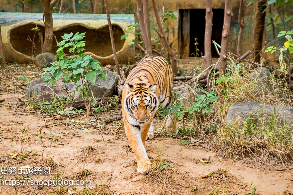 動物園,新竹免費景點,新竹景點