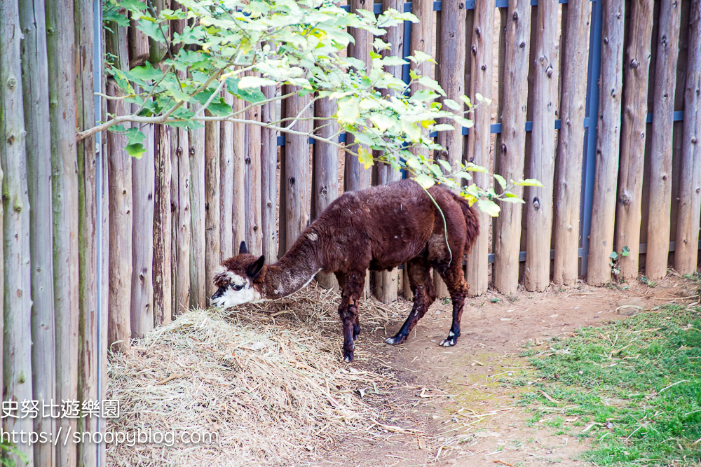 動物園,新竹免費景點,新竹景點