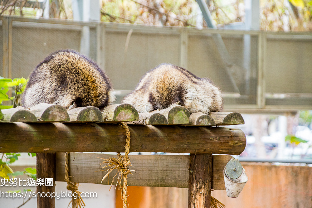 動物園,新竹免費景點,新竹景點