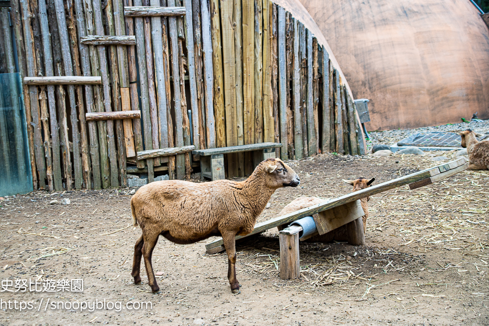 動物園,新竹免費景點,新竹景點