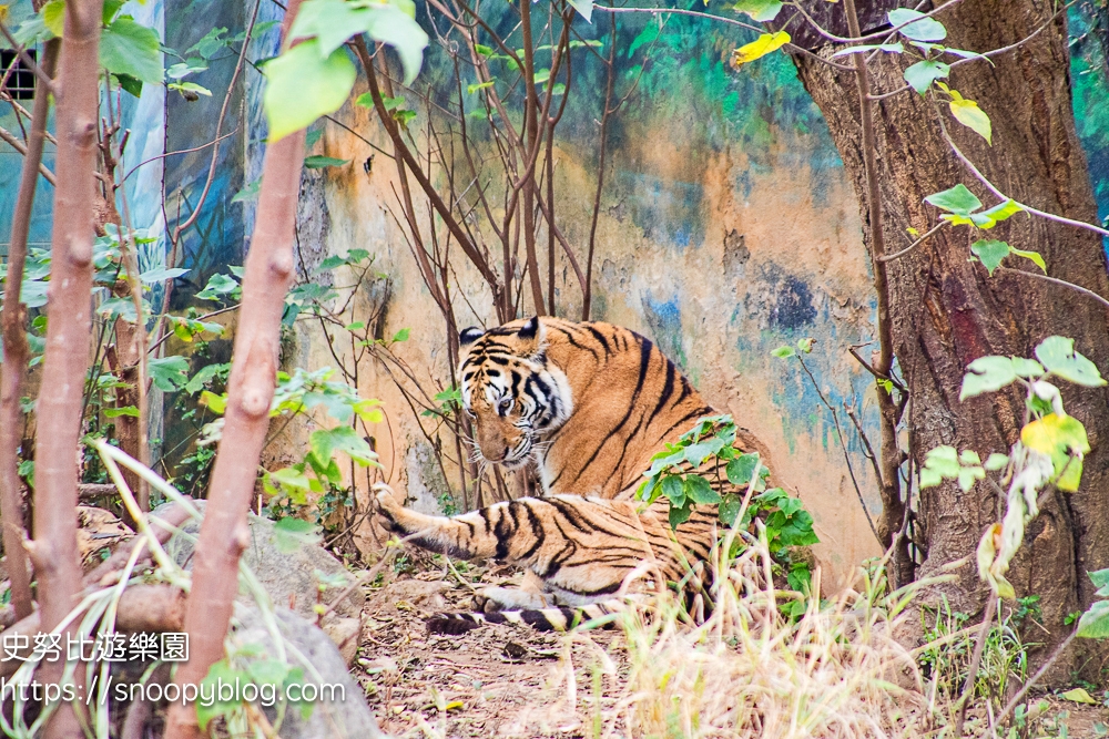 動物園,新竹免費景點,新竹景點