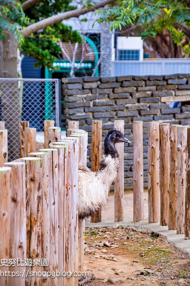 動物園,新竹免費景點,新竹景點