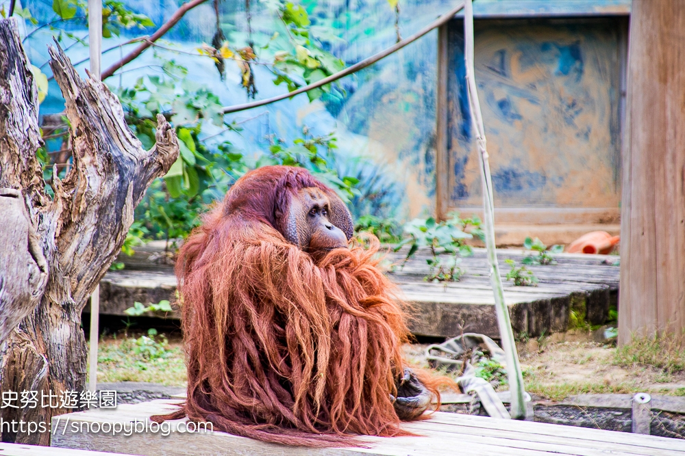 動物園,新竹免費景點,新竹景點