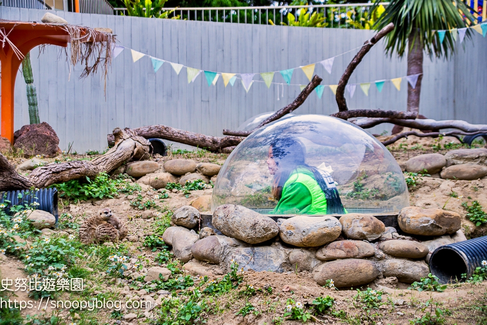 動物園,新竹免費景點,新竹景點