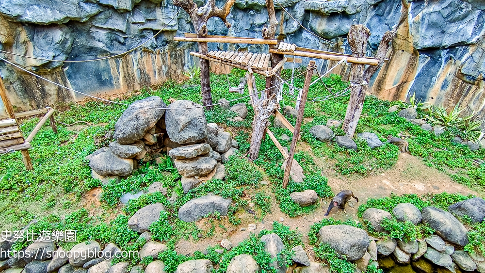 動物園,新竹免費景點,新竹景點