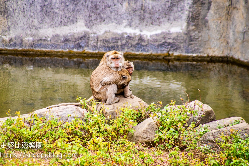 動物園,新竹免費景點,新竹景點