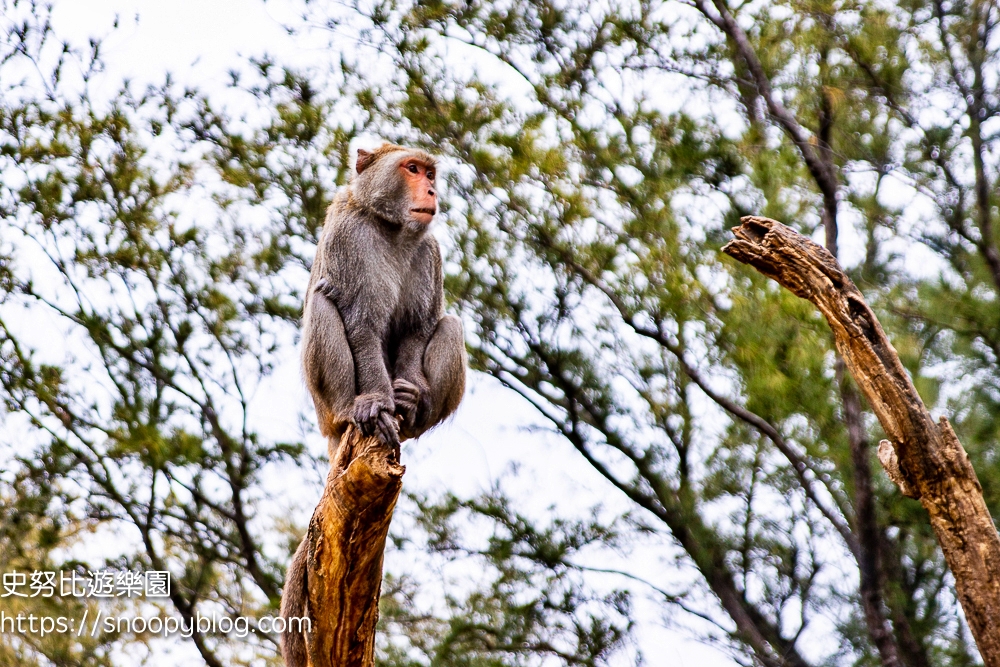 動物園,新竹免費景點,新竹景點