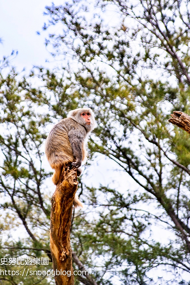 動物園,新竹免費景點,新竹景點