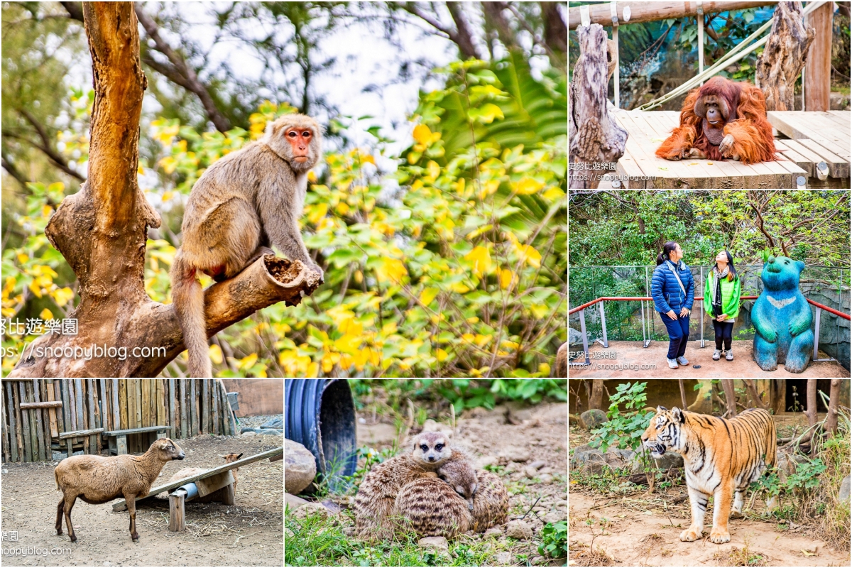 動物園,新竹免費景點,新竹景點