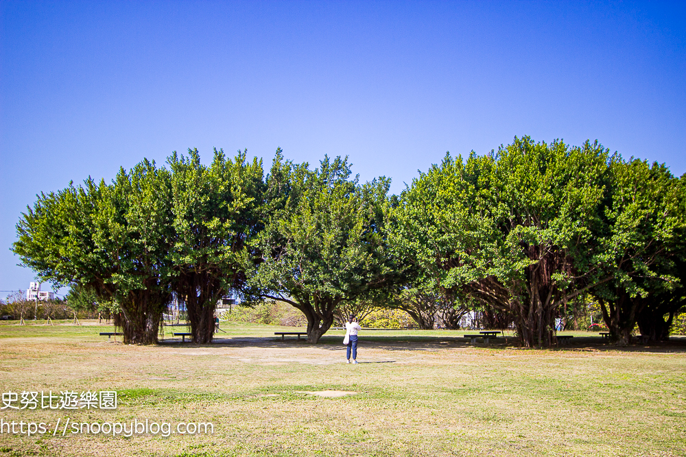 新竹特色公園,新竹親子景點