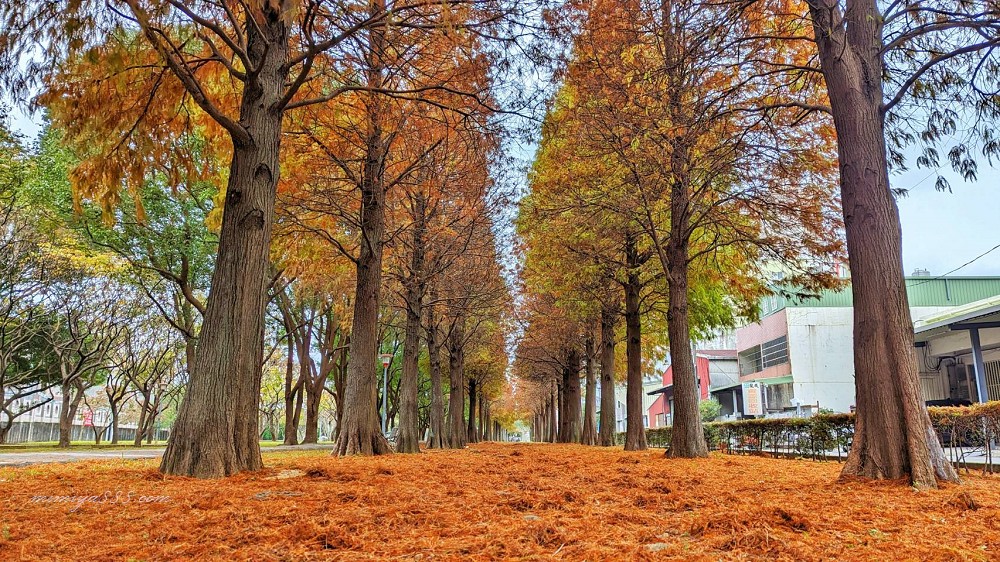 桃園特色公園,桃園親子景點