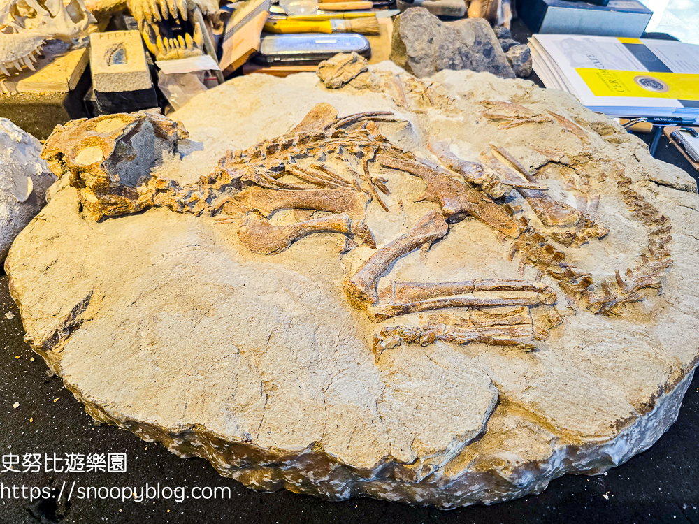 北部溫泉飯店,台北住宿,台北親子飯店,台北飯店推薦,新北住宿