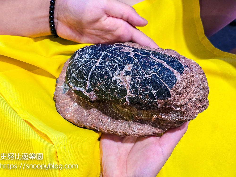 北部溫泉飯店,台北住宿,台北親子飯店,台北飯店推薦,新北住宿
