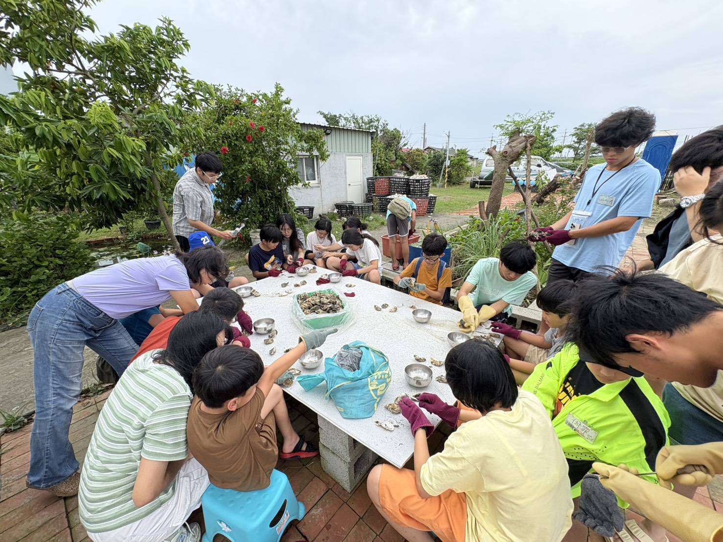 夏令營,夢想一號教育學院,東石夏令營,鄉村永續夏令營