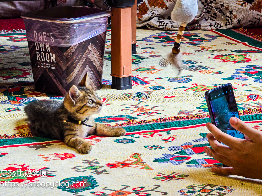 尖石咖啡廳,尖石景點,新竹咖啡廳,新竹景點