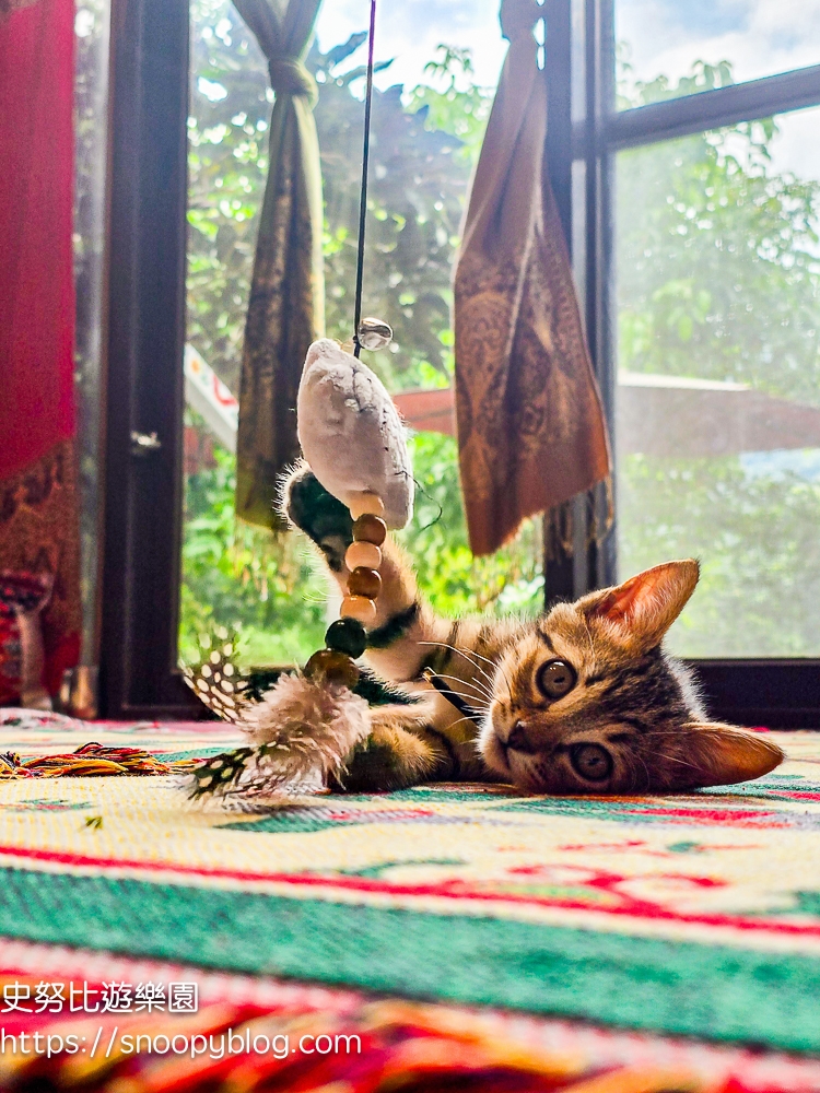 尖石咖啡廳,尖石景點,新竹咖啡廳,新竹景點